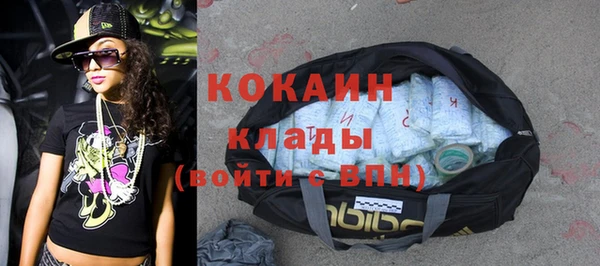амф Богданович